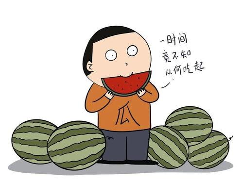 为什么是吃瓜瓜吃瓜,揭秘“吃瓜瓜吃瓜”现象背后的网络文化热潮