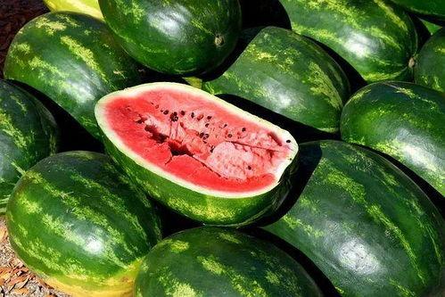 宝宝复古吃瓜照片,童真与时代的交融