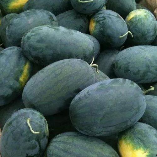 城市吃瓜,揭秘都市生活百态