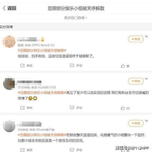 豆瓣吃瓜小组追哥,揭秘“追哥”背后的故事与真相