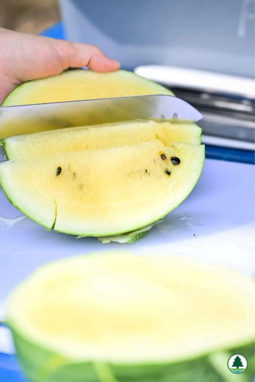 吃瓜五块,网络热词背后的文化现象