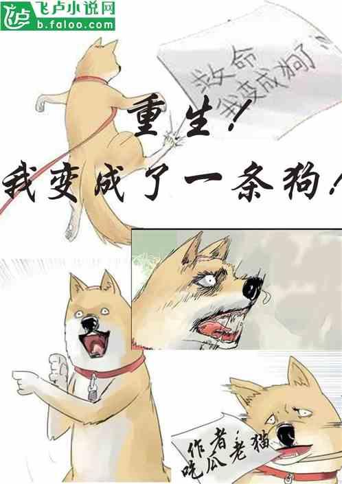 吃瓜福音小说在线阅读,吃瓜福音小说在线阅读之旅