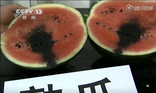 吃瓜视频打不开