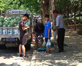 朝阳广场吃瓜群众事件,围观背后的社会现象解析