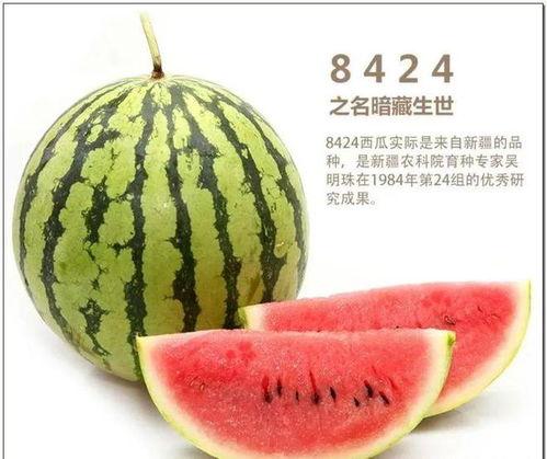 冷暖自己渡 吃瓜,品味人生百态