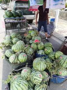 云南校园吃瓜事件,一场校园风波的真相与反思