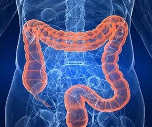 肠癌术后可以吃矮瓜吗,矮瓜的适宜摄入与注意事项