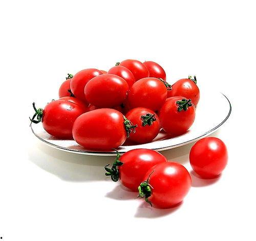 吃瓜金仔万圣,吃瓜金仔的奇幻冒险之旅