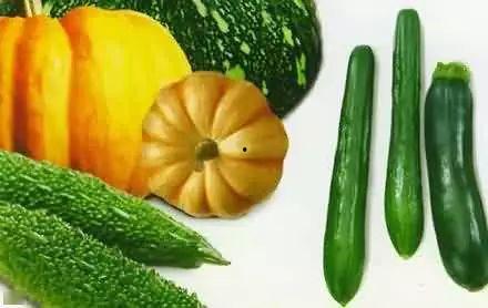 吃瓜剧社,揭秘娱乐圈幕后故事，带你走进明星真实生活