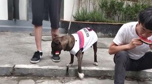 吃瓜尴尬场面,笑料百出，尴尬瞬间大盘点