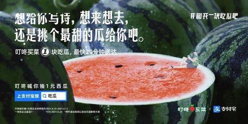 村里吃瓜的文案,揭秘乡村生活那些事儿