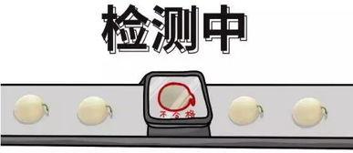 吃瓜把命吃没了,揭秘“吃瓜”背后的健康危机