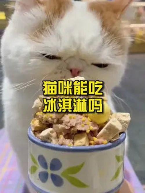 猫猫可以吃冰淇淋瓜吗,揭秘猫咪饮食禁忌