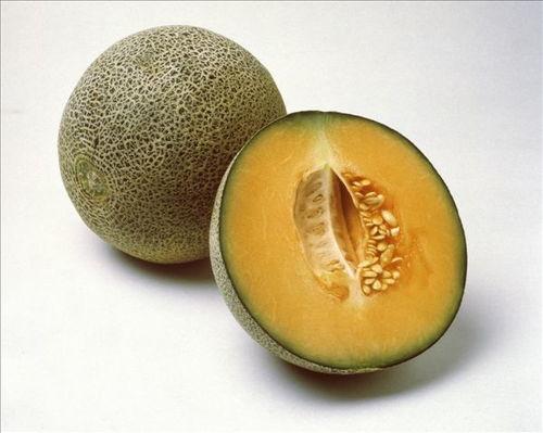 甜蜜瓜春季可以吃吗,美味与健康的完美结合