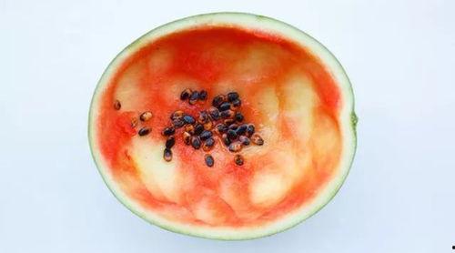 吃瓜勺子带盒,揭秘夏日消暑神器背后的故事