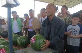 盐城吃瓜群众,揭秘当地独特美食文化