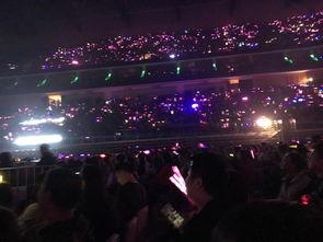 演唱会的吃瓜,吃瓜群众们的欢乐时光