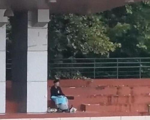 浙江校园吃瓜事件视频,一场网络热议的校园风波揭秘