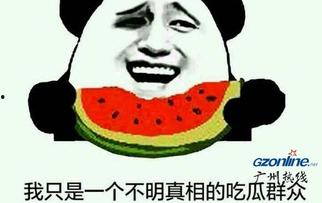 吃瓜群众评论真相,真相背后的舆论风云