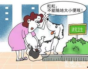 文明吃瓜理性看戏,解码网络舆论背后的真相