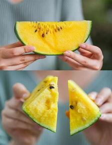 衢州吃瓜事件视频最新